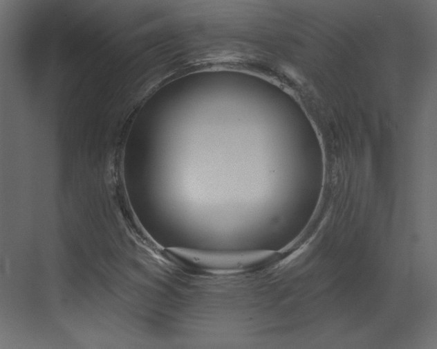 X0000073481353200607311150