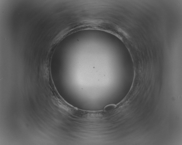 X0000073481354200607311150