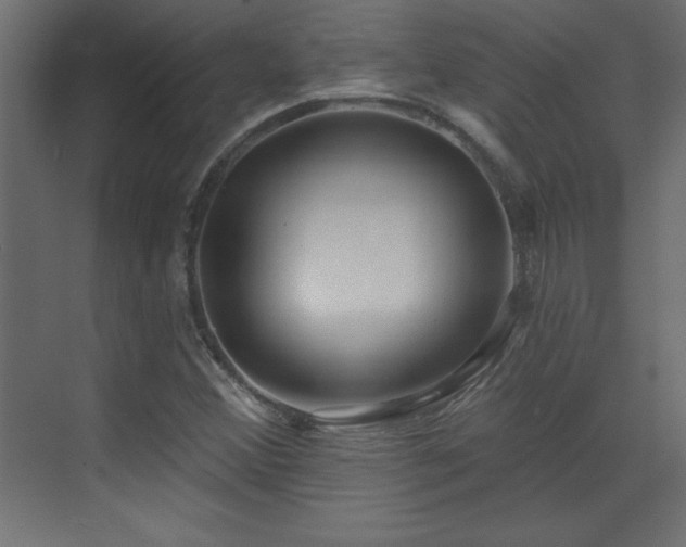 X0000073481356200607311150