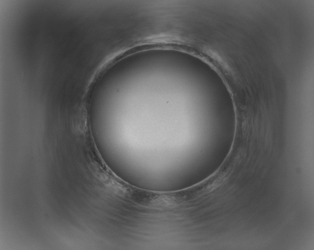 X0000073481358200607311150