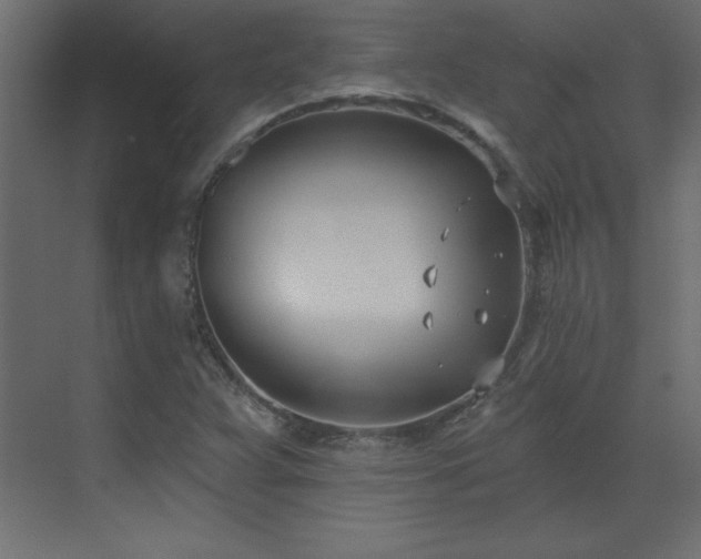 X0000073481359200607311150