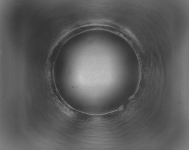 X0000073481360200607311150