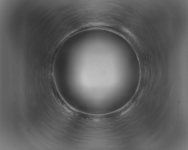 X0000073481361200607311149