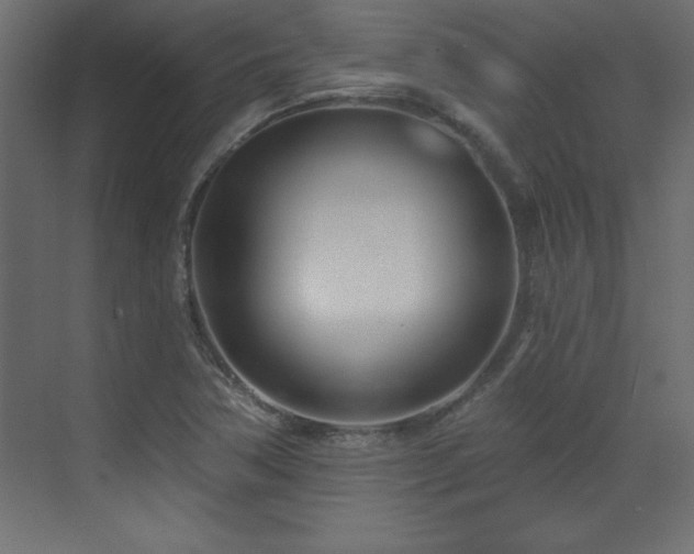 X0000073481362200607311149