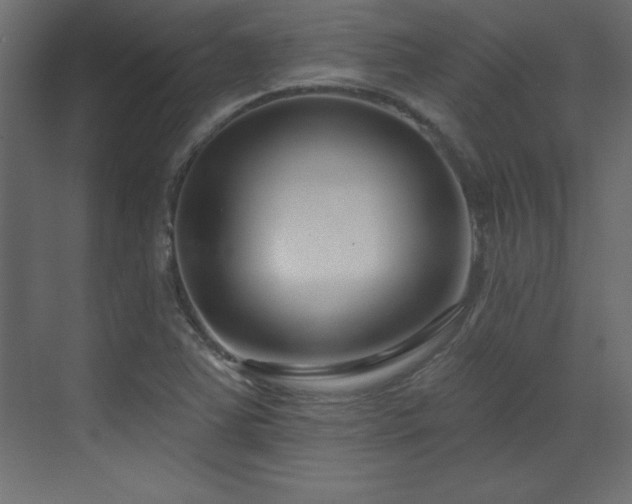 X0000073481363200607311149