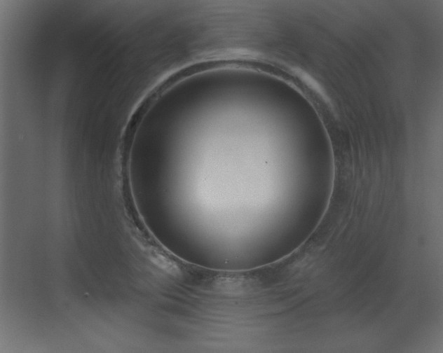 X0000073481364200607311149