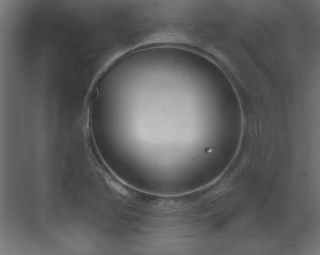 X0000073481366200607311149