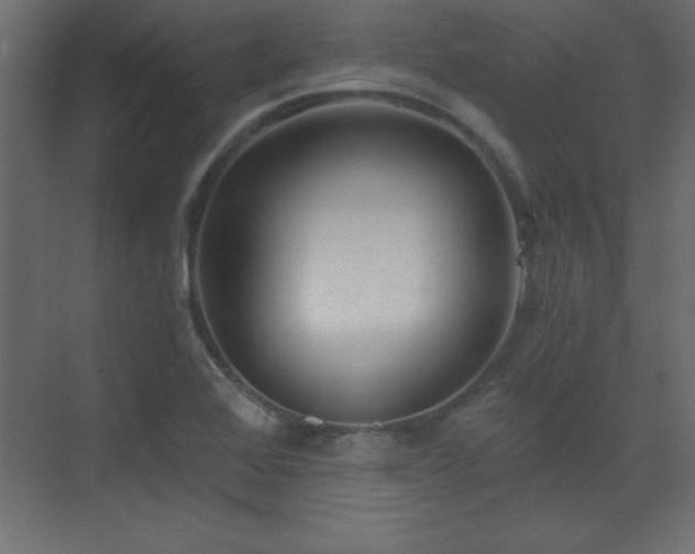 X0000073481368200607311149