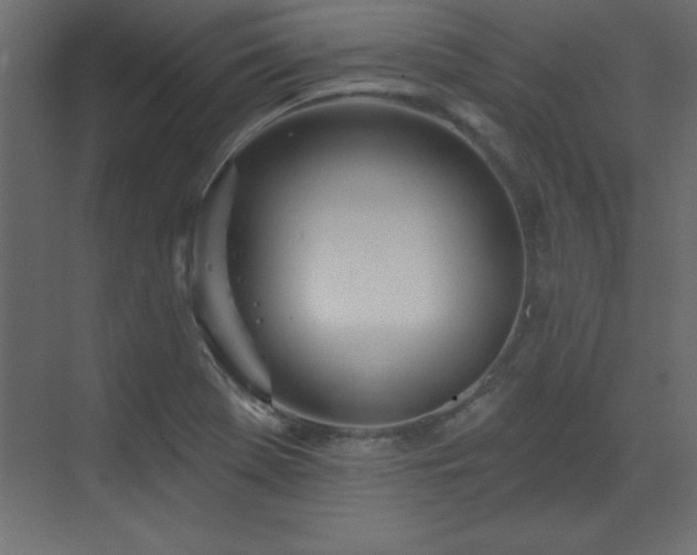 X0000073481369200607311149