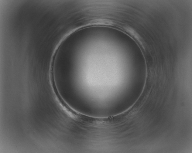 X0000073481379200607311149