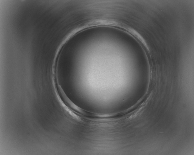 X0000073481381200607311149