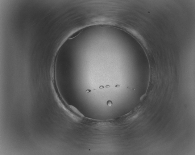 X0000073481383200607311149