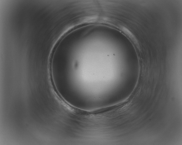 X0000073481384200607311149