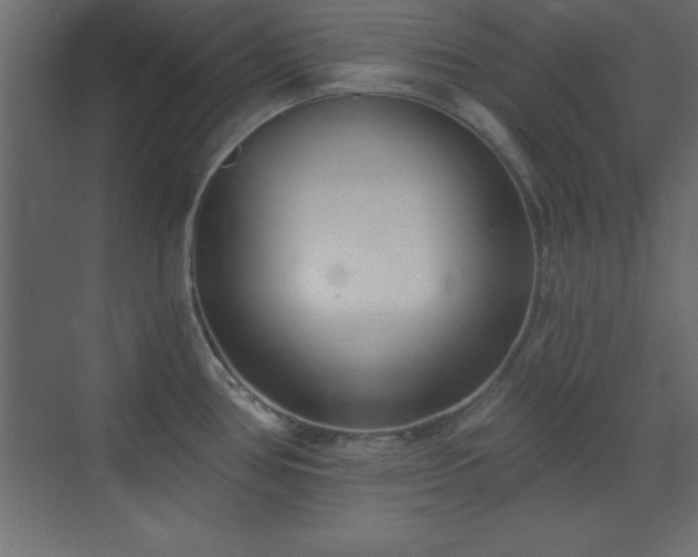 X0000073481386200607311149