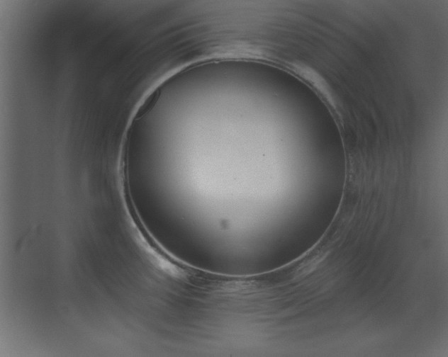 X0000073481387200607311149