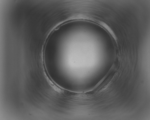 X0000073481388200607311149