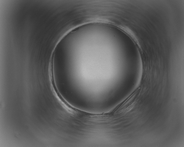 X0000073481391200607311149