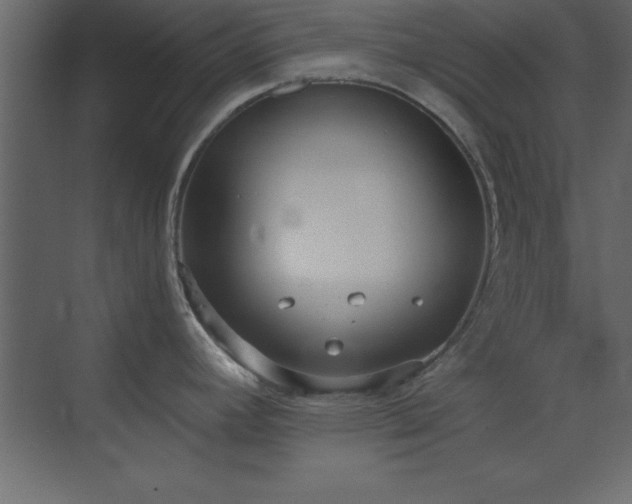 X0000073481392200607311149