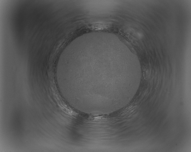 X0000073481393200607311148