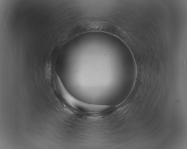 X0000073481394200607311148