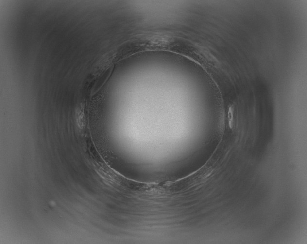 X0000073481395200607311148