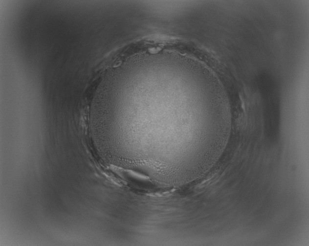 X0000073481397200607311148