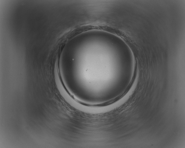 X0000073481398200607311148