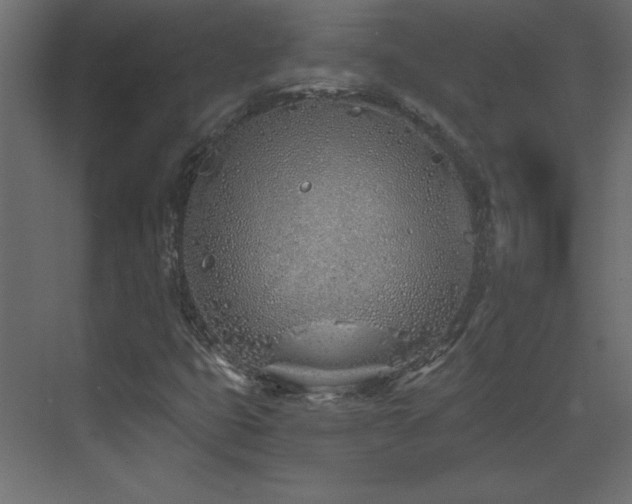 X0000073481399200607311148