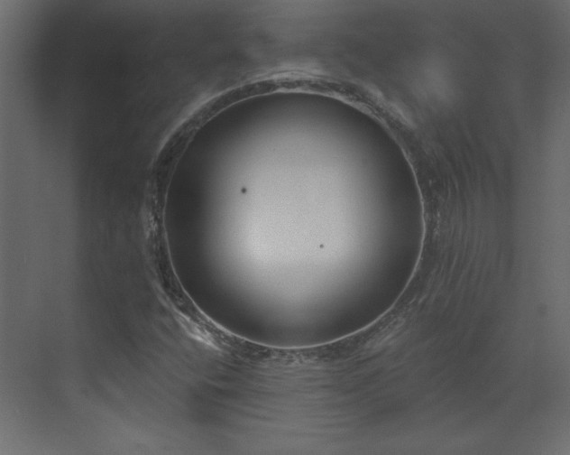 X0000073481400200607311148