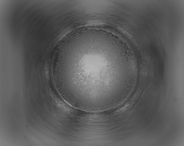 X0000073481401200607311148