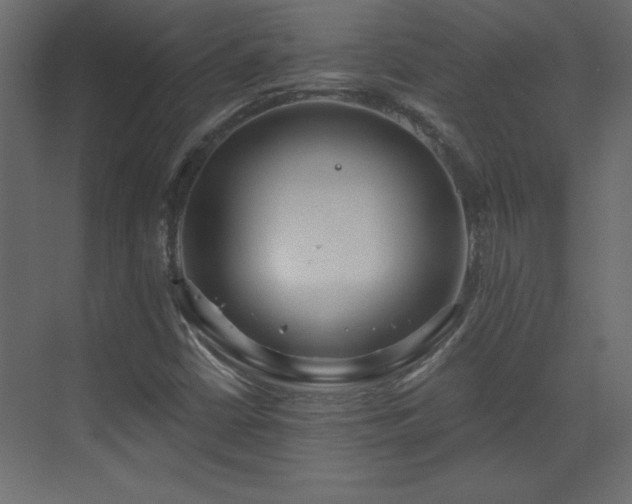 X0000073481402200607311148