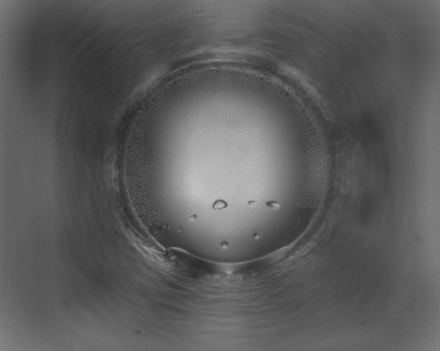 X0000073481403200607311148