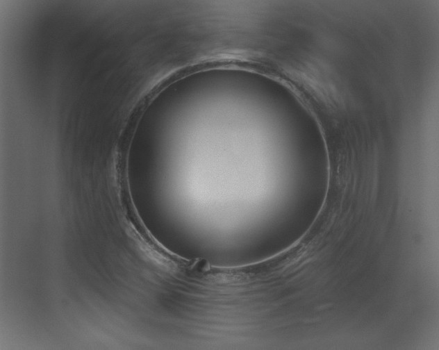 X0000073481404200607311148