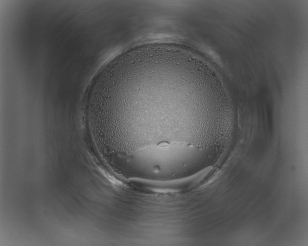 X0000073481405200607311148