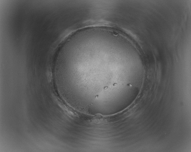 X0000073481407200607311148