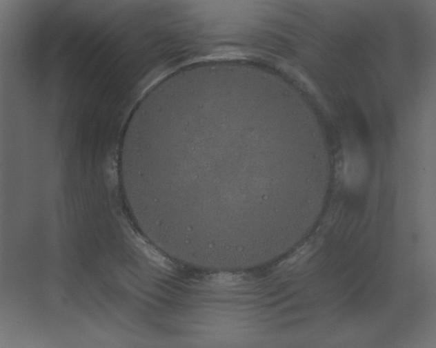 X0000073481409200607311148