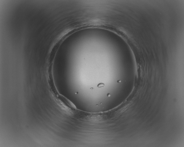 X0000073481410200607311148