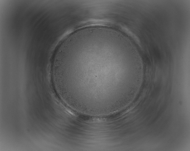 X0000073481411200607311148