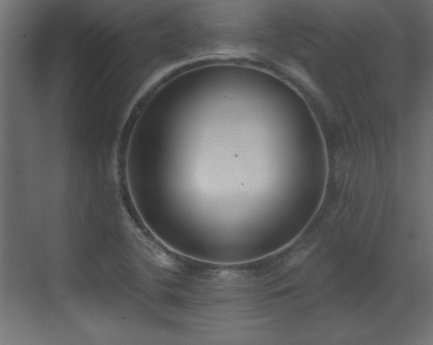 X0000073481412200607311148