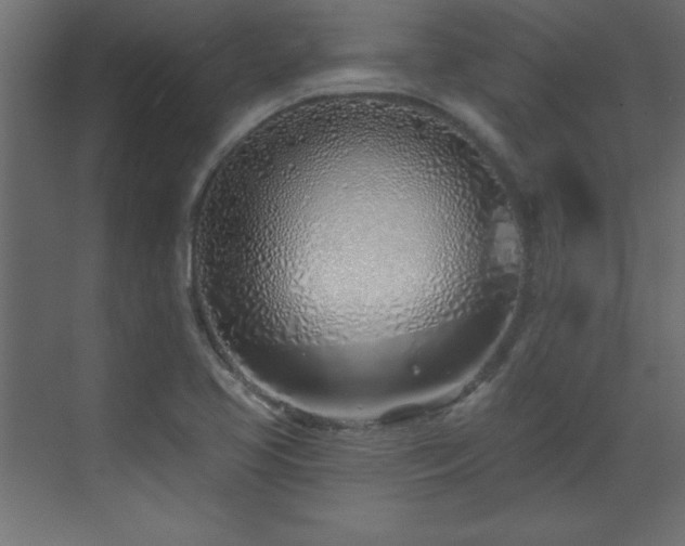 X0000073481413200607311149