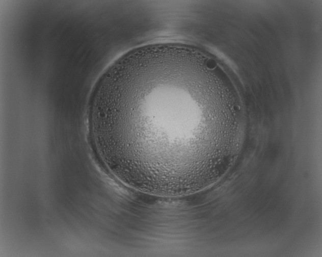 X0000073481415200607311149