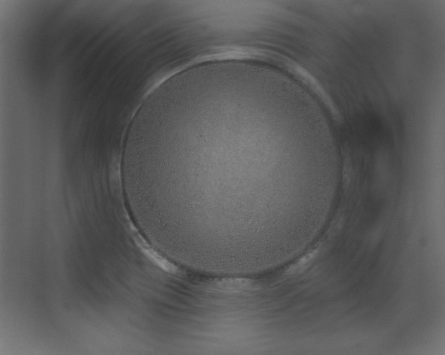 X0000073481417200607311149