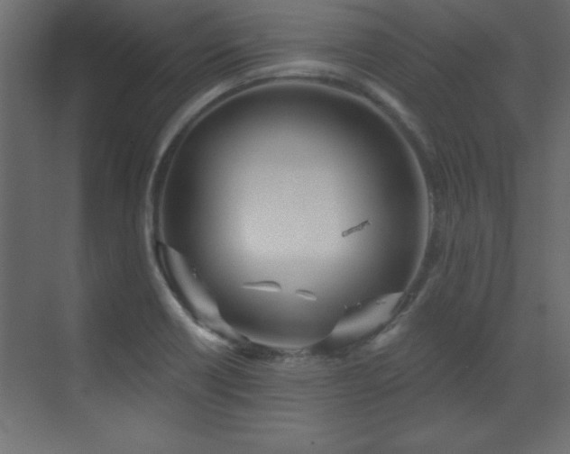 X0000073481418200607311149