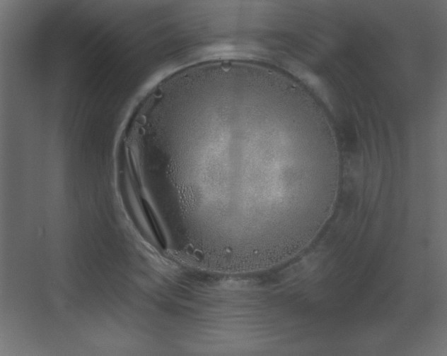 X0000073481419200607311149