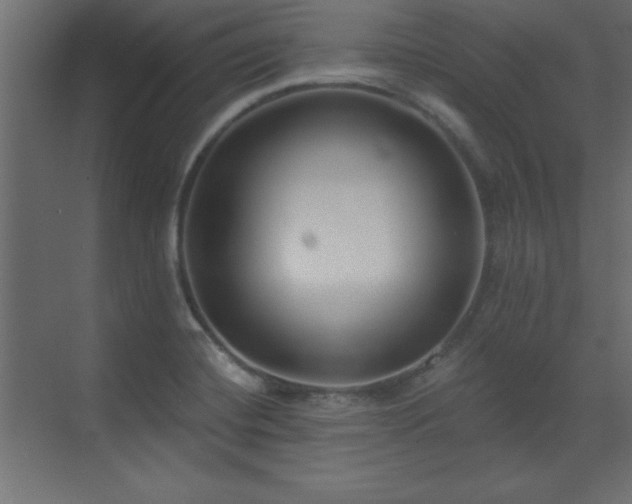 X0000073481420200607311149