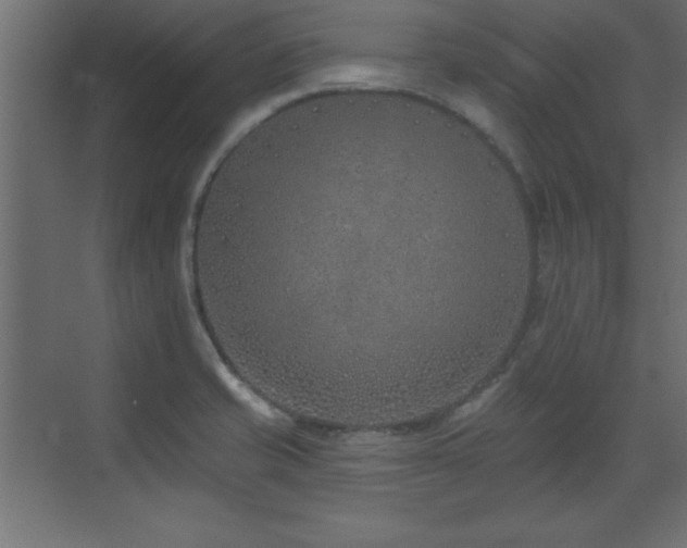 X0000073481421200607311149