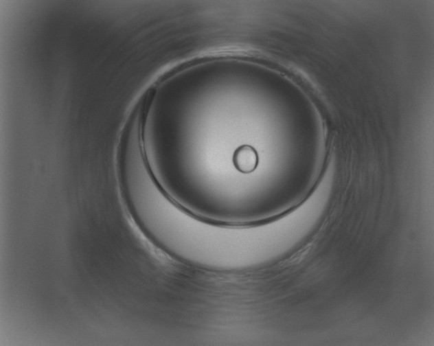 X0000073481422200607311149