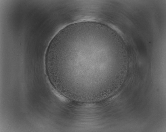 X0000073481423200607311149