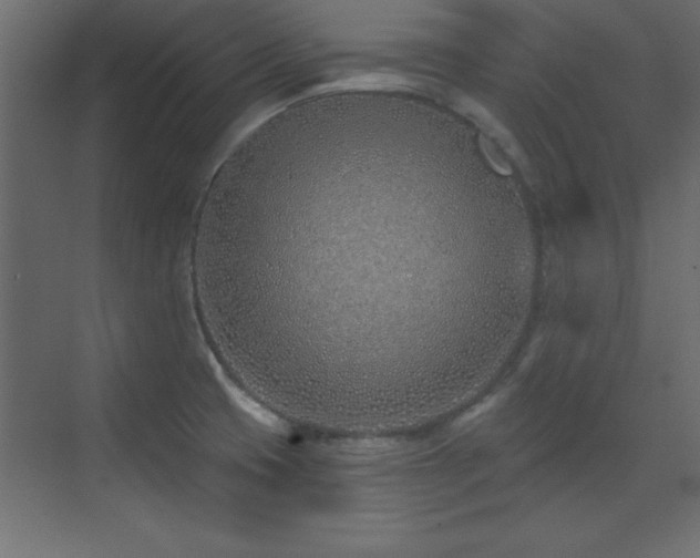 X0000073481425200607311149