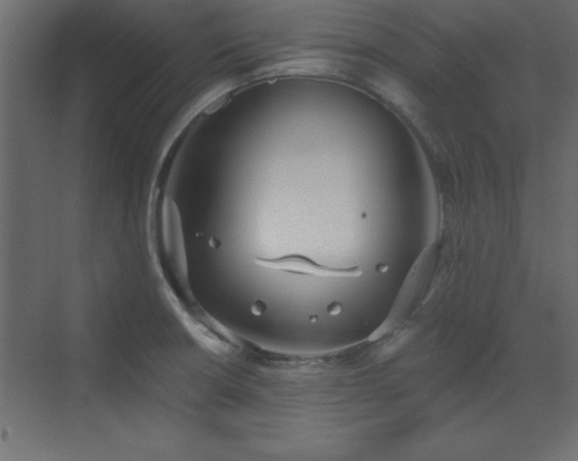 X0000073481426200607311149